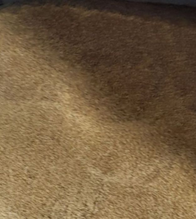 Ekopelet-owies workowany po 40 kg