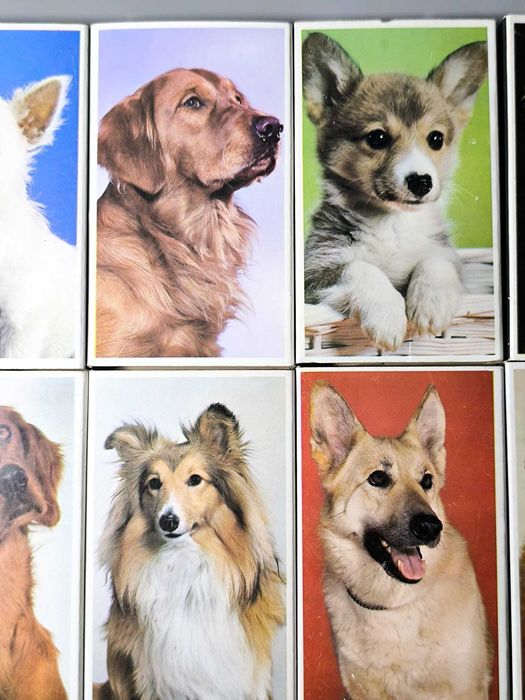 Coleção Completa Fósforos Tema Cães