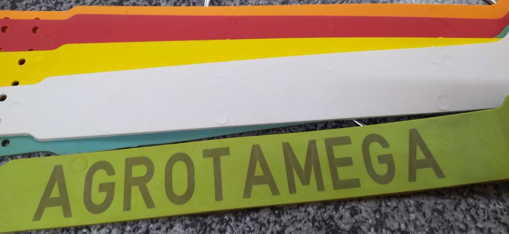 Coleiras identificação Cães - Matilhas