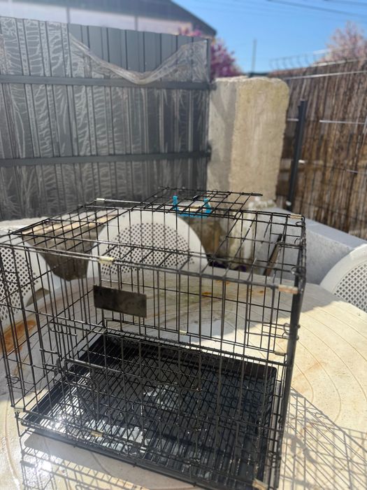 Transportadora para cães/gatos