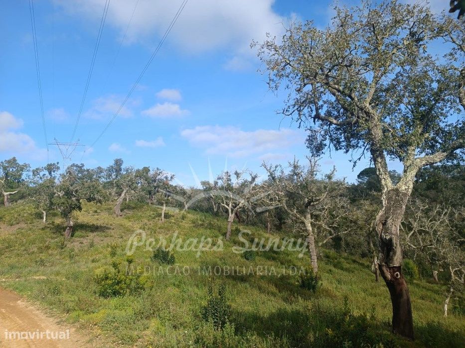 Terreno Rustico São Francisco da Serra