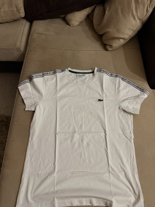 t shirt lacoste homem