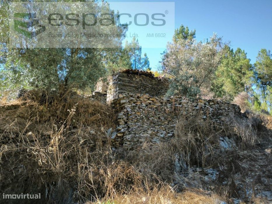 Terreno Agrícola