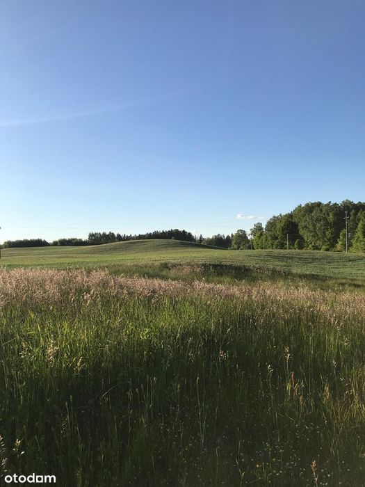 Siedlisko 2,38 ha z zabudowaniami i stawem – 14 km od Olsztyna