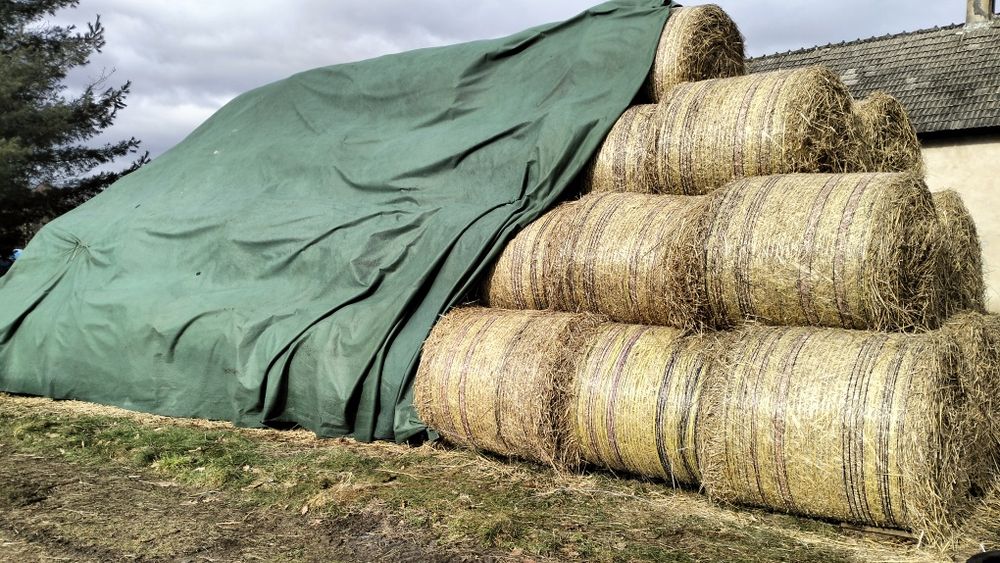 Słoma bele 125x120 zebrana bez deszczu.