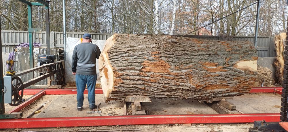 Blat topola na stół ogromne monolit foszt