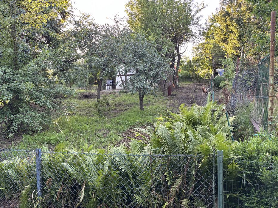 Sprzedam urokliwą działkę ROD na Wzgórzu – Gdańsk Morena (312 m²) | Domek, prąd, drzewa owocowe