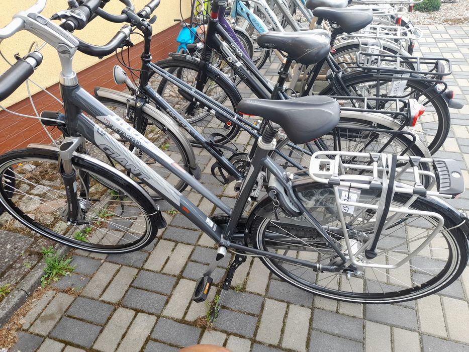 Rowery damskie, męskie, Gazelle, Batavus, Sparta, Sensa, Coga. Świdwin