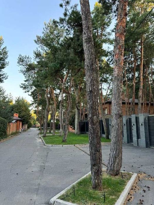 Продажа уникального участка в лесу Обуховка Кировское р-он Коляды