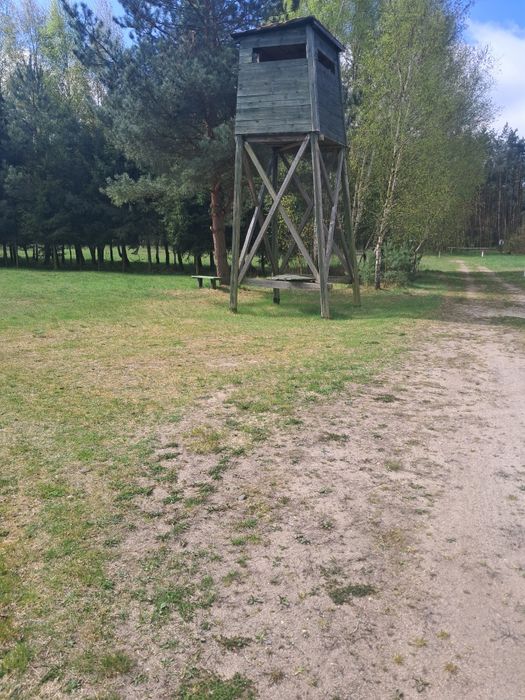 Sprzedam ambone myśliwskąwską 6m wysokości