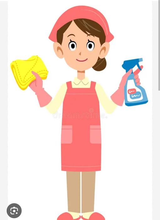 Limpeza e repassagem de roupas