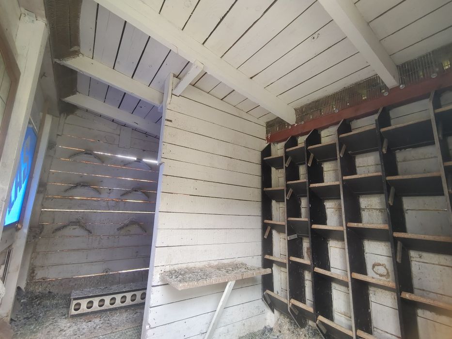 Gołębnik na młode z wyposażeniem