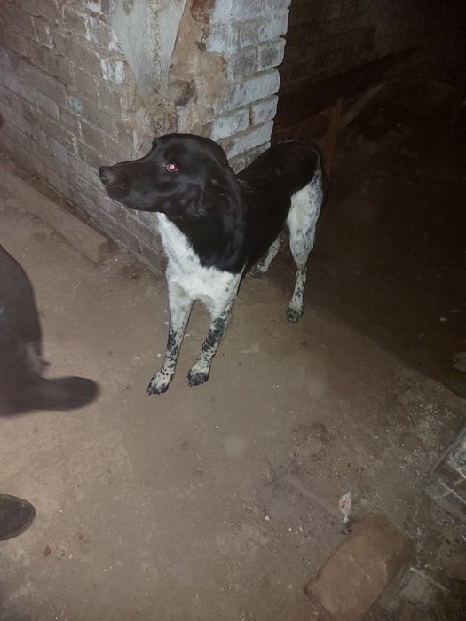 В класну родину!