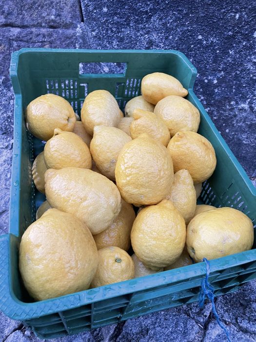 Limão  Nacional Biologico