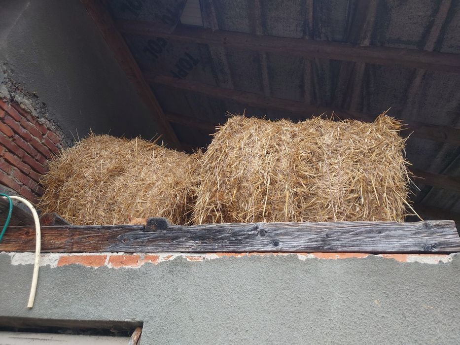 Słoma bele po prasie pasowej