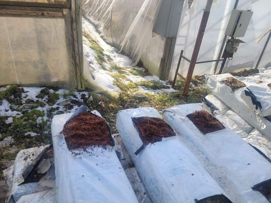 Maty kokosowe po uprawie pomidorow