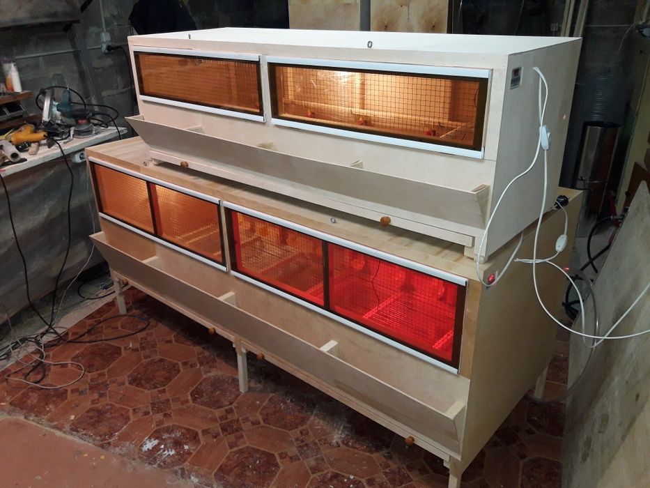 Брудер, ясли, клетка для цыплят.