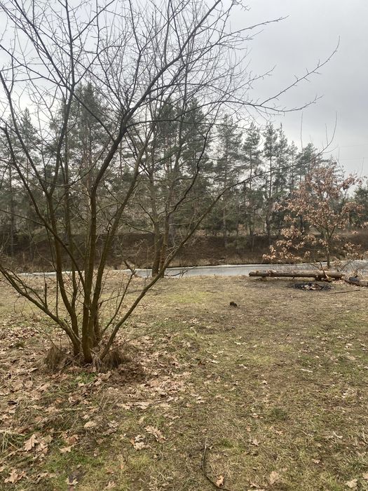 Земля в Свидівку з виходом до каналу