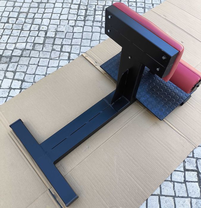 Sissy Squat Fitness e Musculação