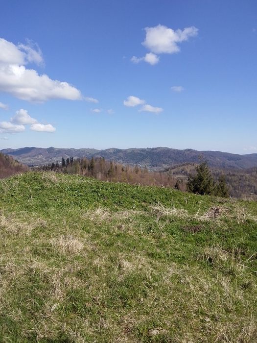 Ділянка   в Карпатах