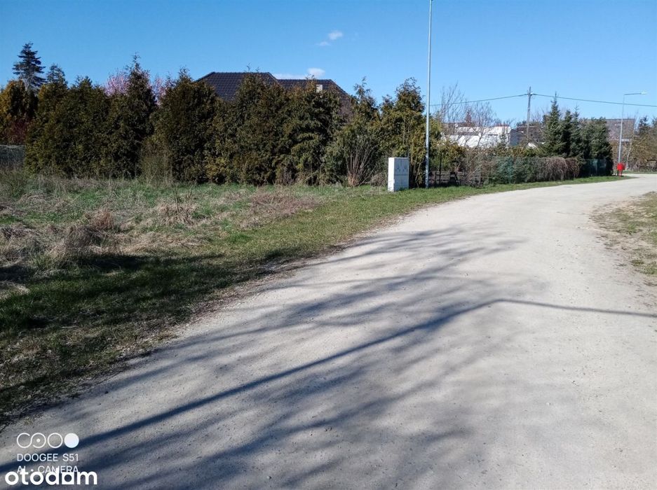 Działka Golęczewo - Widok 5