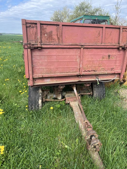 Ladowacz polski cyklop
