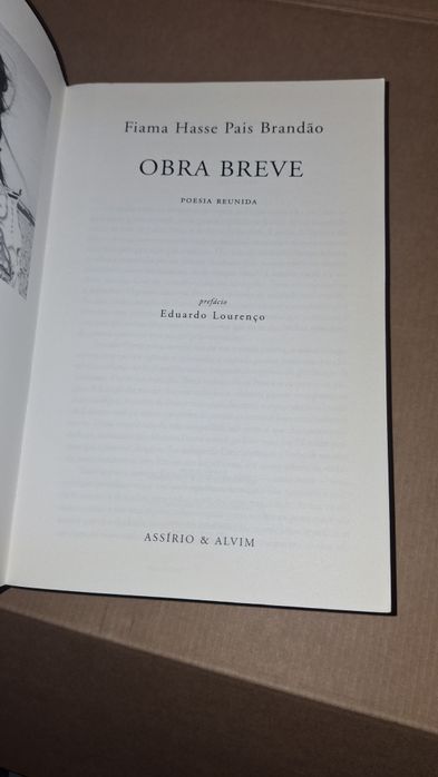 Livro Obra Breve Poesia Reunida Fiama Hasse Pais Brandão 1ª edição