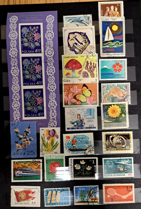 Nowy klaser A4 - 16 stron