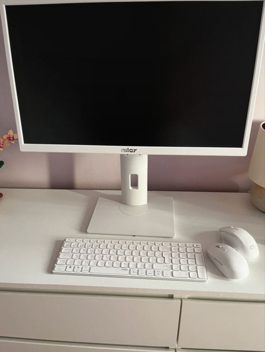 Monitor e teclado ( opcional)