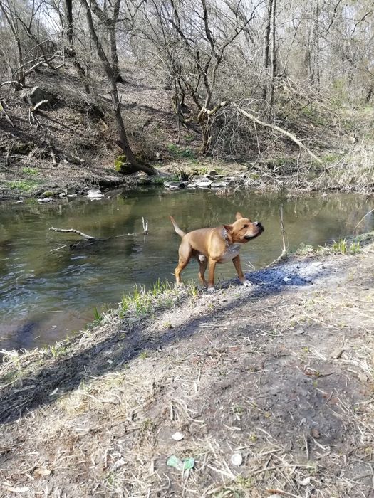 АСТ для вязки. ККУ