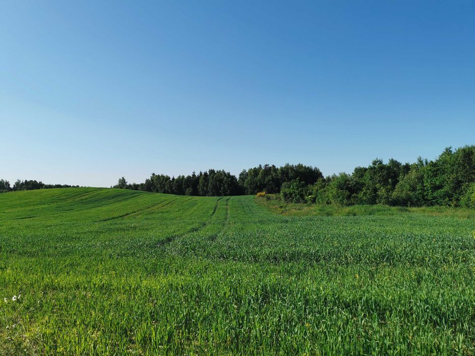 Sprzedam działkę budowlaną