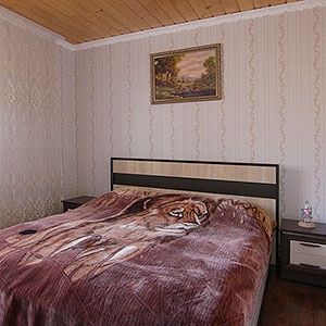 Відпочинок у карпатах ! Здається будинок.Чан.Басейн.