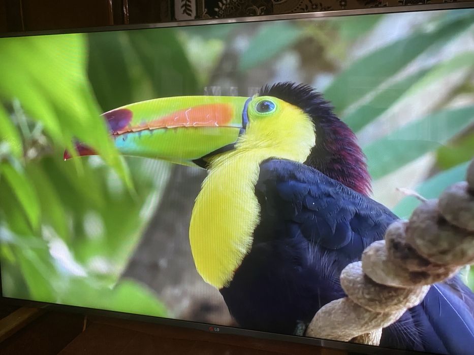 Продам 55 lg smart tv Т2
