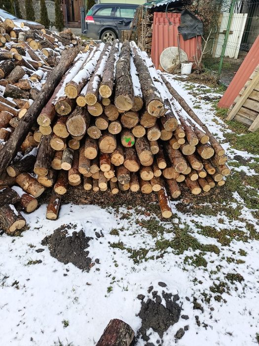 Stemple budowlane lub na ogrodzenie tymczasowe słupki dębowe