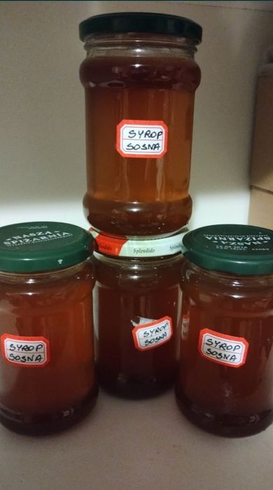 Pakiet 6 sztuk, syrop z pędów sosny