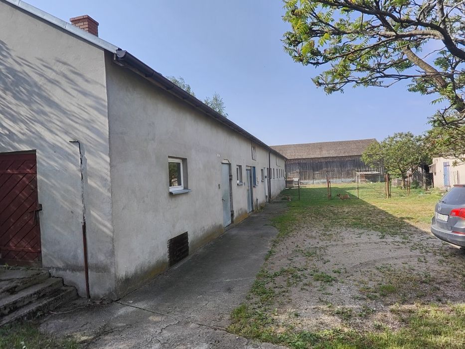 Siedlisko z dużą działką – dom 80 m² + budynki gospodarcze | 31 arów