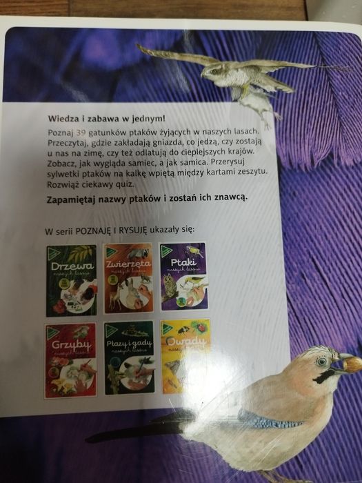 Ptaki naszych lasów