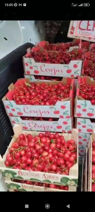 Vendo Pomar-terreno 5.800 m2