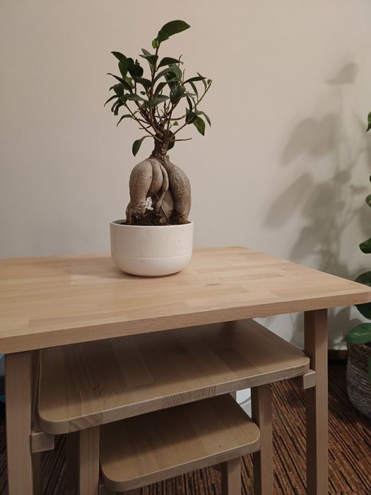 3 side tables64740750000258121