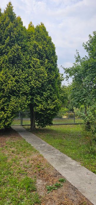 Domek całoroczny na działce ROD działka 350 m² - Więcej