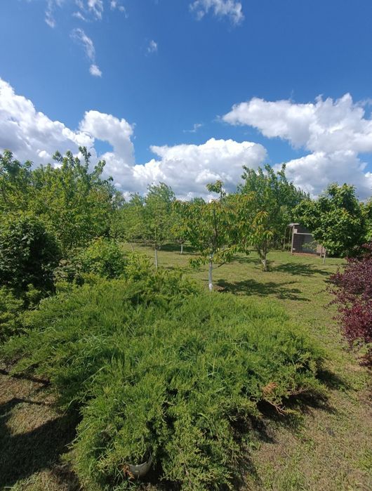 Продам будинок в с. Потіївка, Київської області