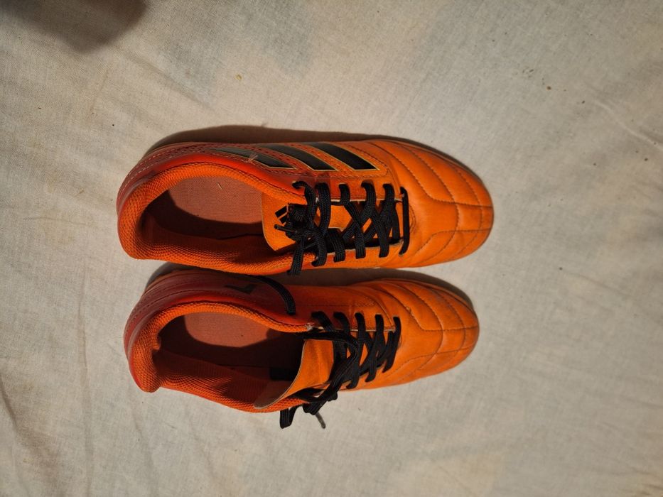 Продаються сороконіжки  червоного кольору38р