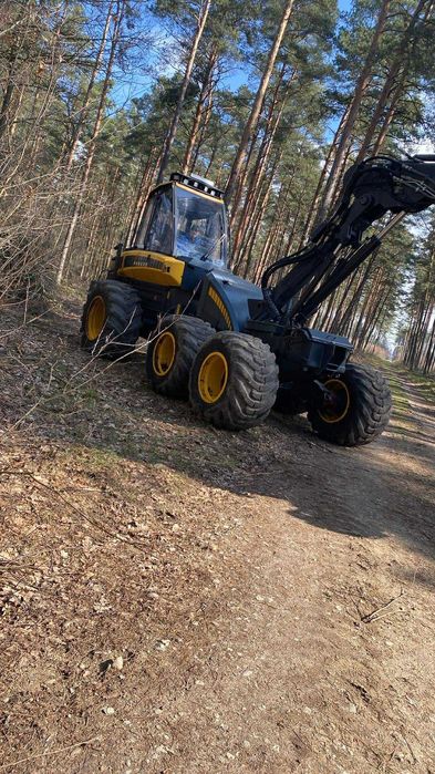 Porządkowanie, usuwanie samosiewów, wycinka drzew transport drewna