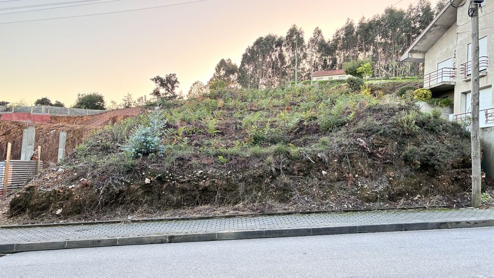 Terreno Crestuma / Rua do Fioso