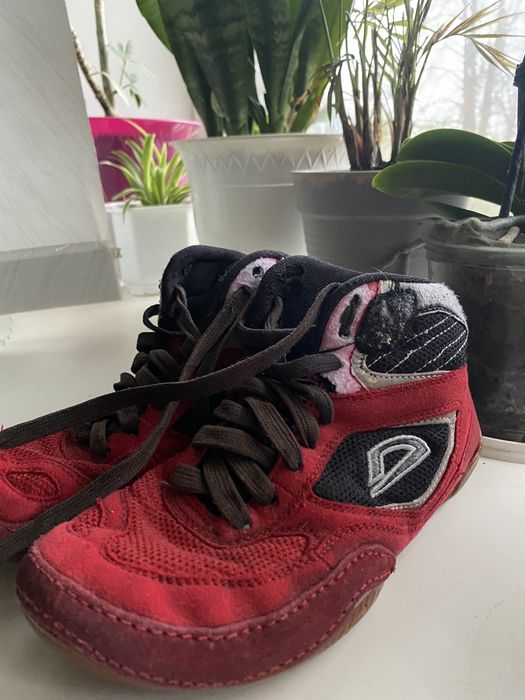 Борцовки (борцівки) Demix 22см устілка