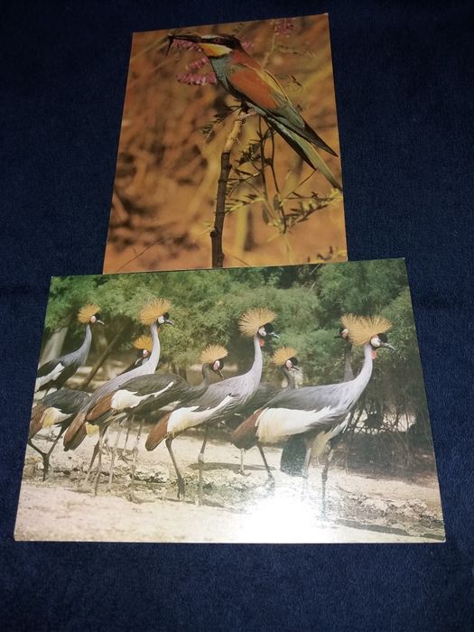 Открытки СССР. Много.