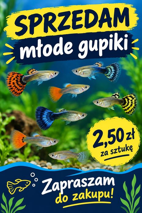 Sprzedam młode gupiki