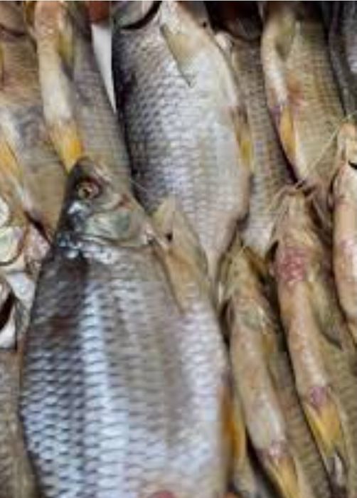 Таранка ПЛОТВА  та ОКУНЬ