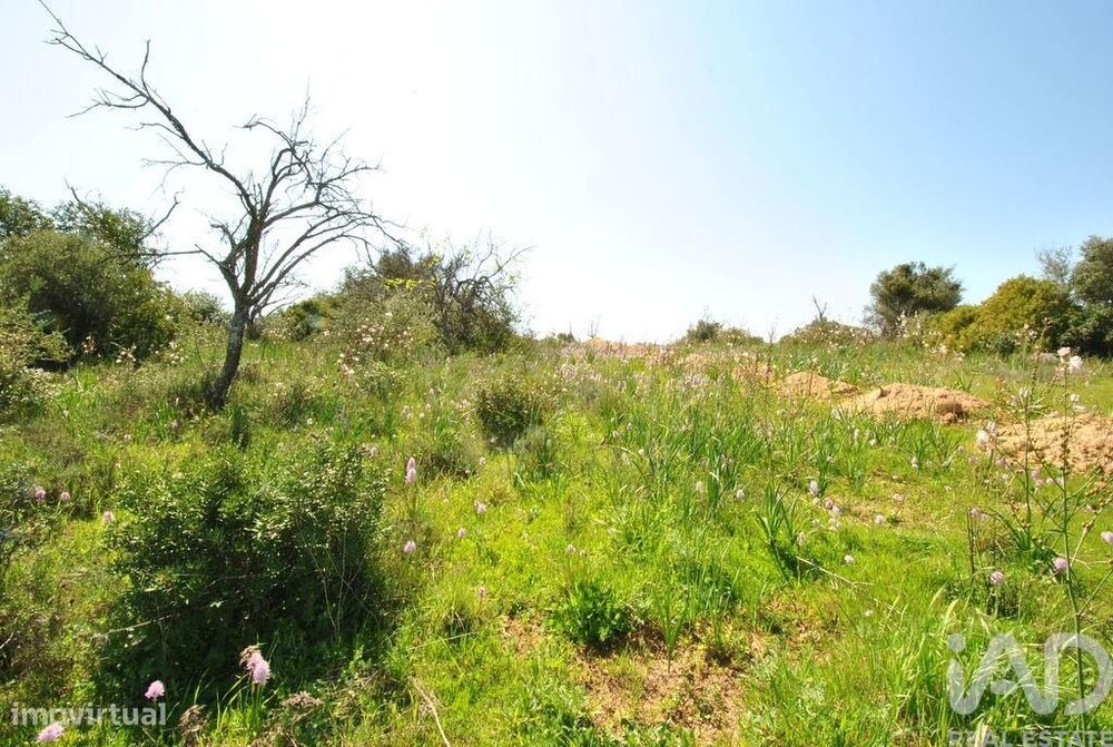 Terreno Agrícola em Paderne