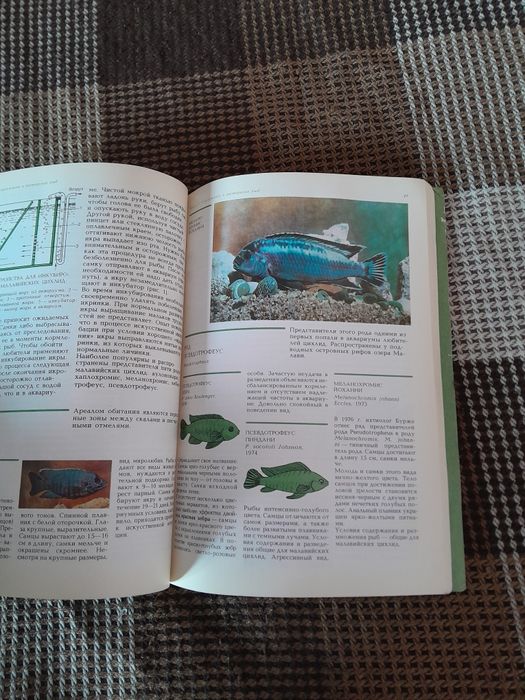 Книга світ акваріума